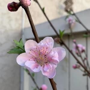 Meet your Posher, Loc